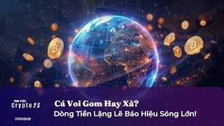 Tin Tức Crypto 2S - Cá Voi Gom Hay Xả? Dòng Tiền Lặng Lẽ Báo Hiệu Sóng Lớn! Phân Tích Onchain