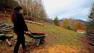 RAINY SEASON STARTED - Fixing the Chicken Coop - Doing Small Projects - COUPLE OFF GRID