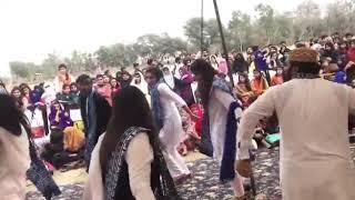 Saraiki Culture Day BZU Girls Performance