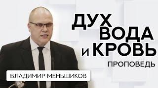 Владимир Меньшиков | Дух, вода и кровь | Проповедь