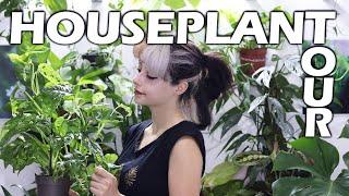 My Houseplant Collection | Plant Tour 2022 