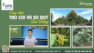 APN - CÔNG THỨC TẠO CƠI VÀ SO ĐỌT SẦU RIÊNG | XỬ LÝ TÌNH HUỐNG ĐỌT RA LỌT XỌT