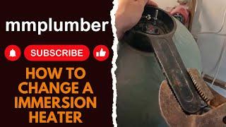 How to change an immersion heater!