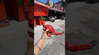 Buying Asian Red Crab