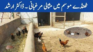 Winter Care and Management of Poultry Birds | Winter Chickens | Dr. ARSHAD