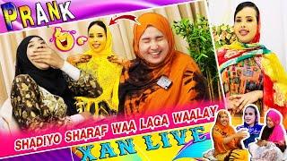 PRANK XAN LIVE || SHAADIYO SHARAF SIDAAN U GALNAY  || KA WAAL DADKA CAANKA AH || TAXANE - PART 8