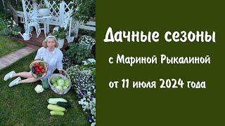 Дачные сезоны с Мариной Рыкалиной от 11 июля 2024 года