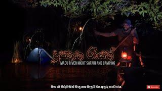 Madu River Night Safari and Camping |  ධීවර ඔරුවකින් මහ රෑ මාදු ගග මැදට | දූපතක රැයක් | 4K