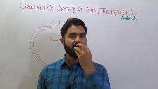 Circulatory System of Man Introduction and brief summary  Part 1 Biology 1