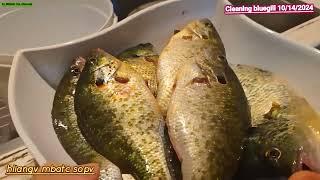 Iu-Mienh fun channel Ep 947 cleaning bluegill