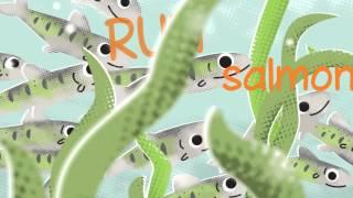 Bobs & Lolo - Run Salmon Run (Official Video)