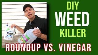 Quick Tip: Is DIY vinegar weed killer better than Roundup?