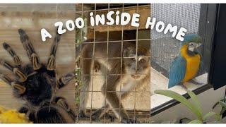 MINI ZOO INSIDE HOME - LUNAYVE RESIDENCE