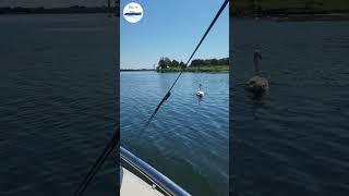 Spezial: Ein Tag Auszeit, aber auf dem Wasser. Mit einem 4,5m Boot das Wetter genießen.