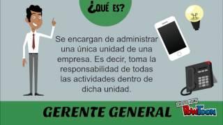 Tipos de Gerentes y Niveles Gerenciales