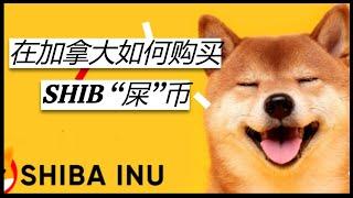 在加拿大如何购买SHIB 柴犬币 SHIBA INU