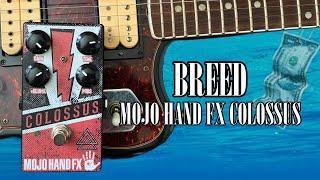 Nirvana Breed Guitar Tone & Cover | Nevermind Studio Tone Recreation with Mojo Hand FX Colosuss