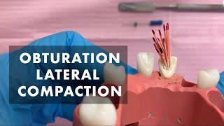 Preclinical laboratory demonstration - obturation - lateral compaction