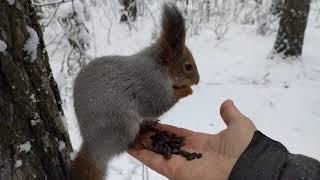 Нычки - это самое оно!