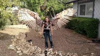 Girl Builds Giant Wings