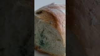 Staf Toko Makan Roti Berjamur Setelah Ditantang Pelanggan #viralshorts