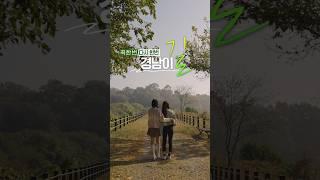 꼭 한번, 다시 한번 경남이길