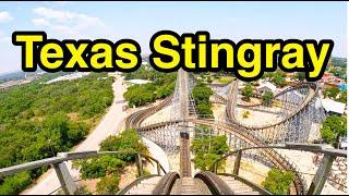 Texas Stingray - Sea World San Antonio, Texas