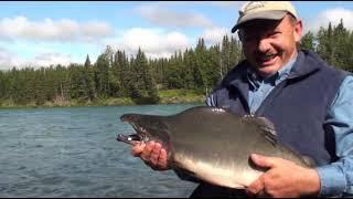 murphs alaska adventure