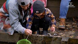 Nature is the classroom and children are explorers at this 'forest school'