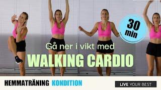 30 MIN WALKING CARDIO WORKOUT   Gå ner i vikt snabbt!