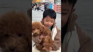 小孩与狗 Boy & Puppy