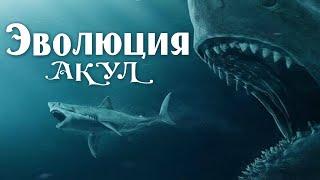 Эволюция акул | Познавательное видео