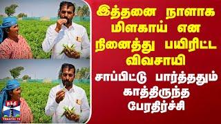 Farming Business | Chilli Pepper | இத்தனை நாளாக மிளகாய் என நினைத்து பயிரிட்ட விவசாயிக்கு பேரதிர்ச்சி