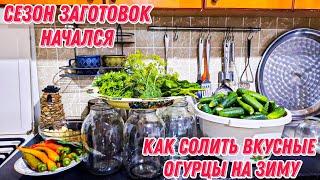 Сезон заготовок начался | Как солить вкусные огурцы на зиму | Быстрая простая еда