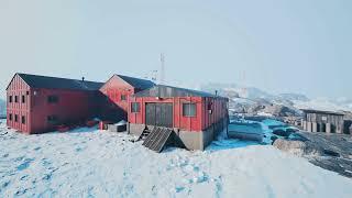 Life in Antarctica