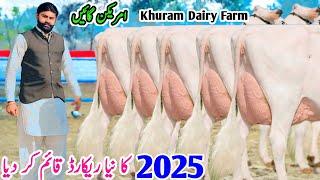 Khuram Dairy Farm | Imported American Cow | Friesian Cross Cows | big Udder Cow | 2 February 2025