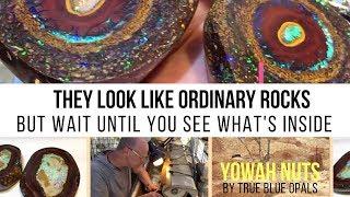 They Look Like Ordinary Rocks, But Wait Until You See What's Inside | Yowah Nuts