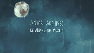 Lucy Carruthers: Animal Archives | Re-wilding the Museum