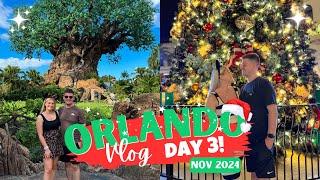 FLORIDA DISNEY WORLD Day 3 - Animal Kingdom & Disney Springs • November 2024