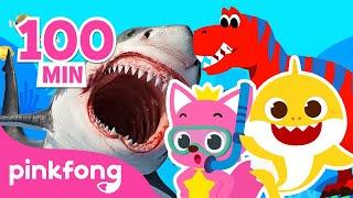 Best Pinkfong & Baby Shark Stories 2021 | Dinosaur and more | Pinkfong Stories for Kids
