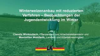 Winterweizenanbau mit reduzierten Verfahren - Beobachtungen der Jugendentwicklung im Winter