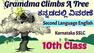 Grandma Climbs A Tree Kannada Summary Ruskin Bond SSLC Karnataka Second Language English Lessons