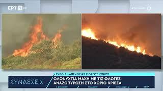 Εύβοια: Ολονύχτια μάχη με τις φλόγες - Αναζωπύρωση στο χωριό Κριεζά | 30/7/2024 | ΕΡΤ