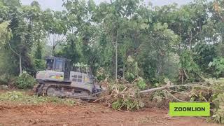 Zoomlion ZD170G Crawler Bulldozer in Action