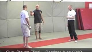 Guru Stevan Plinck - Sera Seminar - June 2010 - Teaser Clip