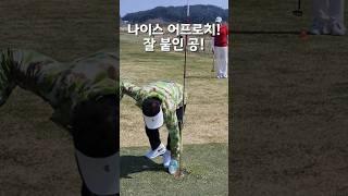 공을 가까이 붙이는 스윙이 제일 중요해요! 나이스 어프로치! #파크골프 #파크골프스윙 #파크골프동영상