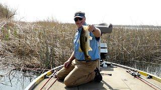 Slowing Down to Sight Fish for Bass