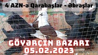 Sabunçu quş bazarı 05.02.2023