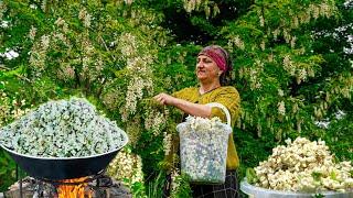 Harvesting acacia flower petals and making jam in the village