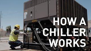 Chiller 101 Series | Ep. 1 | How a Chiller Works